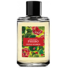 Gerânio Bourbon-فبو ژرانیو بوربن