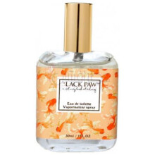 Goldfish Princess-بلک پاو گلدفیش پرینسس