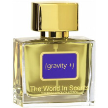 Gravity Plus-د ورلد این سنتس گراویتی پلاس
