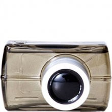 Gray Shot-پول اند بیر گری شات