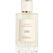 Herba Mimosa-کلوهه هربا میموسا