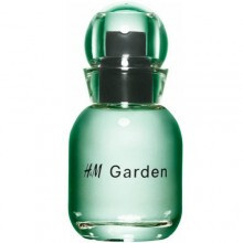 H&M Garden - Sunlit dew-اچ اند ام گاردن - سانلیت دو (جی)