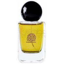 Hommage à Paul Klee Lights and Shadows-وای اس - یوزاک هومیج ا پاول کلی لایتس اند شادوز