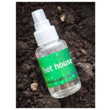 Hot House-اسمل بنت هات هاوس