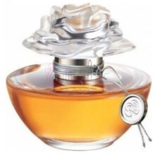 In Bloom-اوان این بلوم