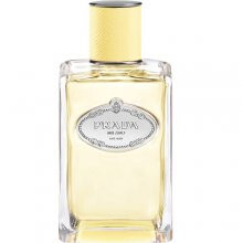 Infusion de Mimosa-پرادا اینفیوژن د میموسا