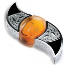 Insijam-نبیل انسجام