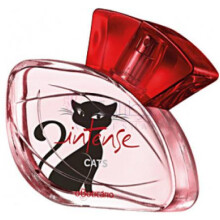 Intense Cats-او بوتیکاریو اینتنس کتس