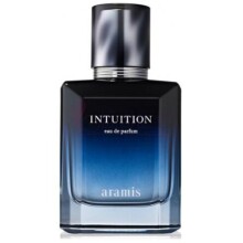 Intuition-آرامیس اینتوشن