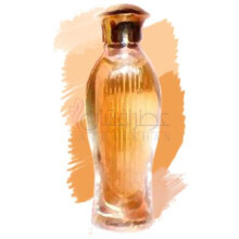 Jaguar Essentially-جگوار اسنشیالی