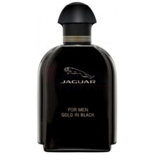 Jaguar For Men Gold in Black-جگوار فور من گلد این بلک
