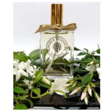 Jasmine-انجلا فلاندرز جاسمین