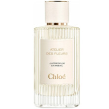 Jasminum Sambac-کلوهه جاسمینوم سامباک