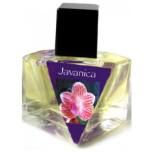 Javanica-المپیک ارکیدز ارتیسان پرفیومز جاوانیکا