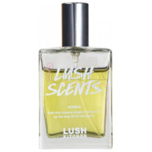 Jungle-لاش جانگل