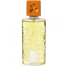 Kimonanthe-دیپتیک کیمونانته