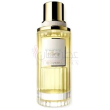 Knowing Legacy-استی لودر نویینگ لجیسی