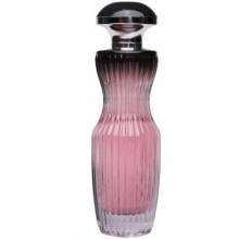 La Nuit Rose-فراگرنس ورد لانویت (لنویت) رز