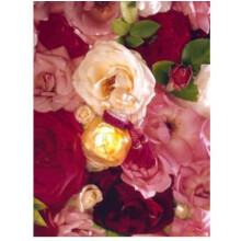 La Rose Legere-لس پارفومز دی روسین لا رز لجر