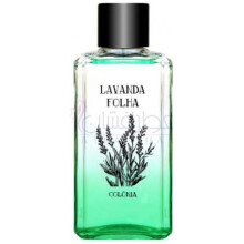 Lavanda Folha-فبو لوندا فولها