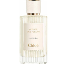 Lavanda-کلوهه لواندا