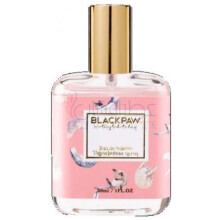 Little Milk Cat-بلک پاو لیتل میلک کت