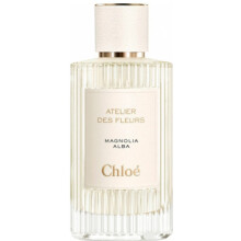 Magnolia Alba-کلوهه مگنولیا البا