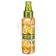 Mangue & Coriandre-ایو روشه مانگویی اند کوریاندری
