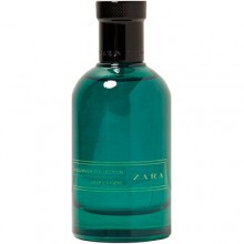 Midsummer Collection Deep Fougere-زارا میدسامر کالکشن دیپ فوره