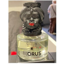 Morus-سیکیلیا موروس
