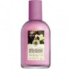 Mure Sauvage-ایو روشه میور ساواج