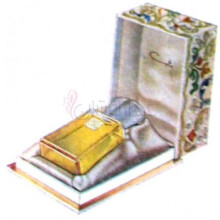 Muse-کوتی میوز