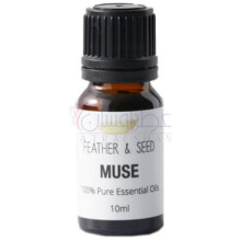 Muse-سنسور ای ام میوز