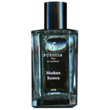 Muskara Bursera-فوگیا 1833 مسکارا بورسرا