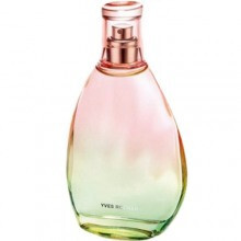 Naturelle Osmanthus-ایوشه روشه نتورل اوسمانتوس