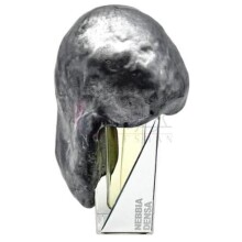 Nebbia Densa Extrait de Parfum-فیلیپو سورچینلی نبیا دنسا اکستریت د پرفیوم