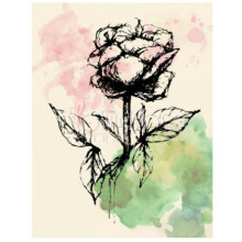 No. 2-الن شاو شماره 2