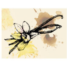 No. 3-الن شاو شماره 3