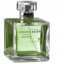 No 30 Hay Incense-کوگنوسنتی نو 30 هی اینسنس