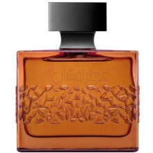 Notorious XO-ام میکالف نوتوریوس ژو