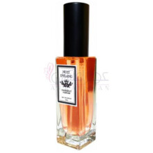 Nuit D'Ylang-دارک بیت پارفومز نویت د یلانگ