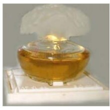 Orange Sahara-پوپا اورنج ساهارا