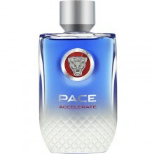 Pace Accelerate-جگوار پیس اکسلرت