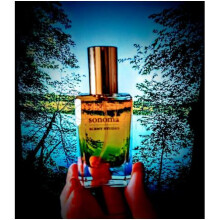 Pacific Forest-سونوما سنت استودیو پسیفیک فارست