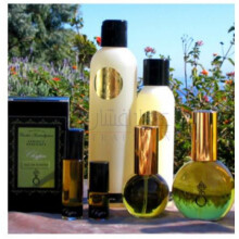 Perfect Chypre-سارا هورویتز پارفومز پرفکت چایپر