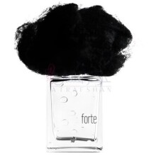 Pioggia Forte-فیلیپو سورچینلی پیوجیا فورته