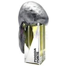 Pioggia Forte Extrait de Parfum-فیلیپو سورچینلی پیوجیا فورته اکستریت د پرفیوم