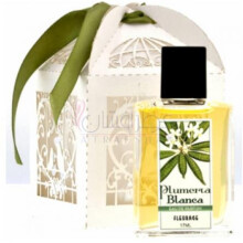 Plumeria Blanca-فلوریج پلومریا بلانکا