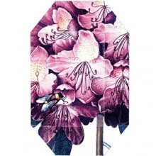 Print Collection Stella 01-استلا مک کارتنی پرینت کالکشن استلا 01