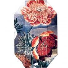 Print Collection Stella 03-استلا مک کارتنی پرینت کالکشن استلا 03